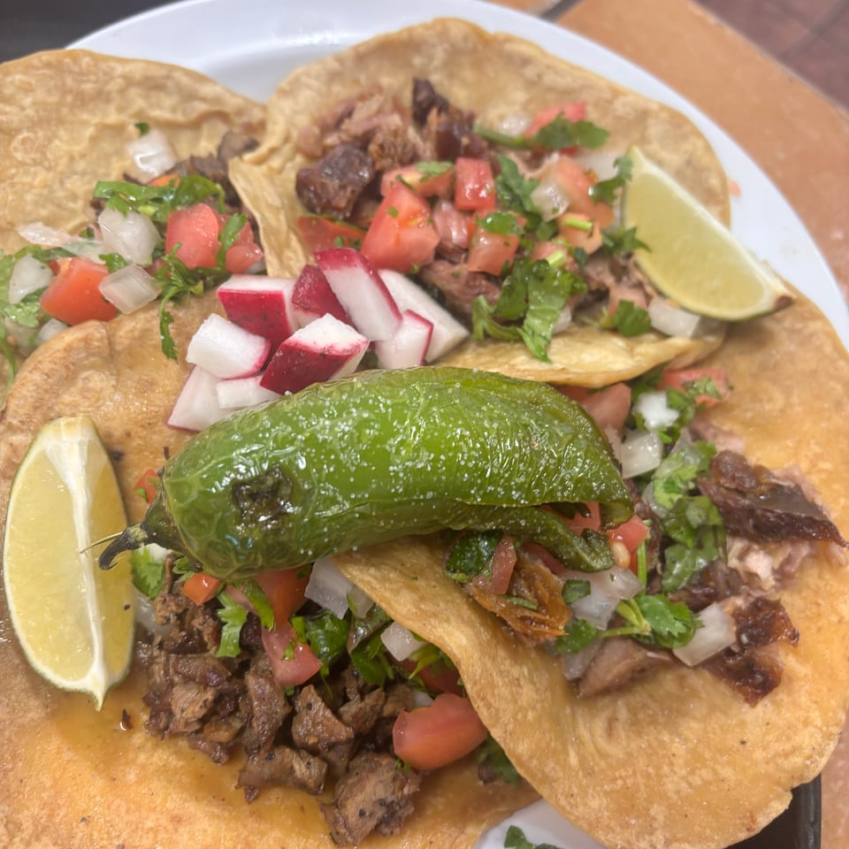 A plate of four street tacos with meat, pico de gallo, radishes, lime, and a grilled jalapeño.