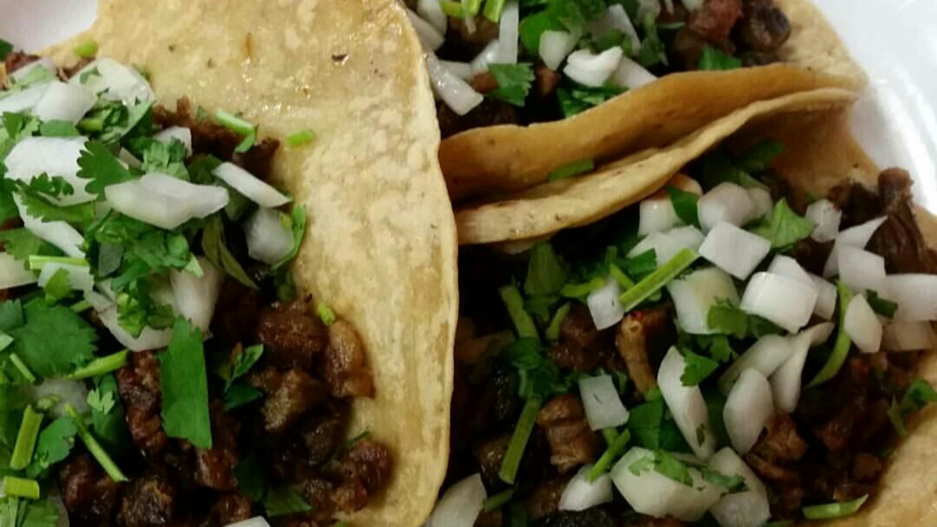 Handmade tortillas, every day